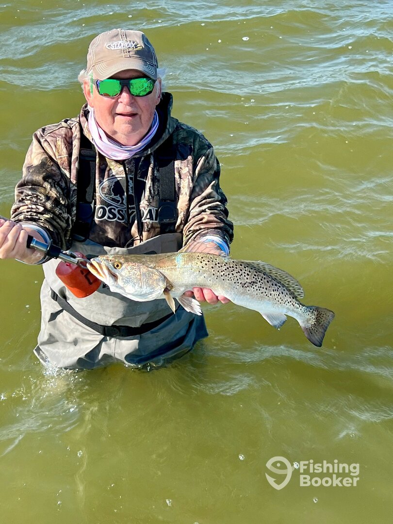 Corpus Christi Report Photo 0