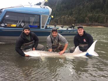 Chilliwack Report Photo 2