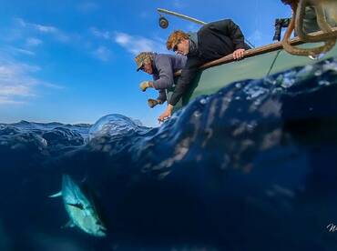 Wanchese Report Photo 1