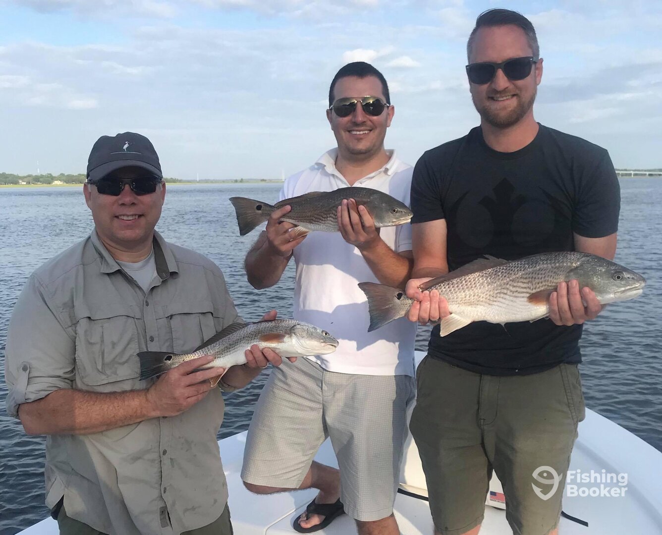 Mount Pleasant Report Photo 0