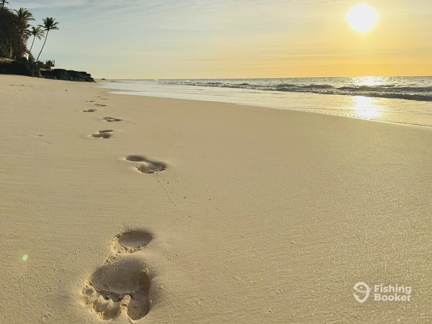 Sandys Report Photo 0