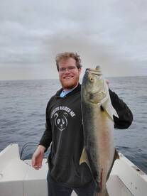 Porto Formoso Report Photo 1