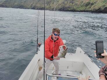 Make our clients happy is our Mission