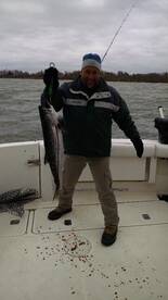 Sterling Report Photo 2