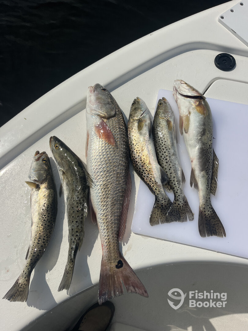 Fort Myers Report Photo 0