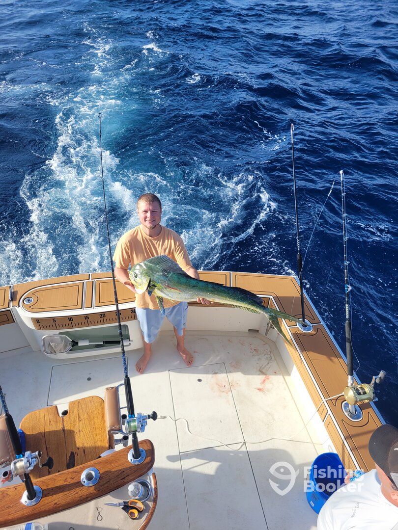 Stuart Report Photo 0