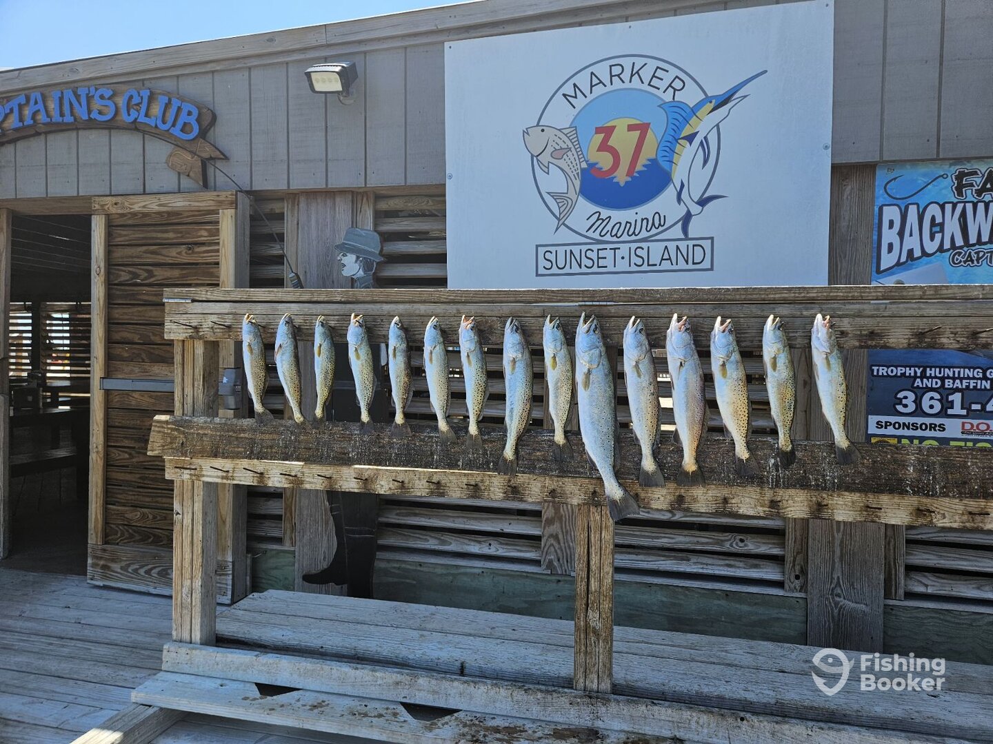 Corpus Christi Report Photo 0