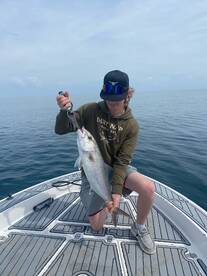 Apollo Beach Report Photo 2