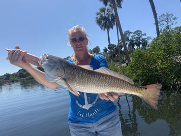 Spring Hill Report Photo 1