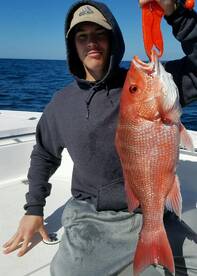 SHEEPSHEAD SNAPPER AMBERJACK TRIGGERFISH