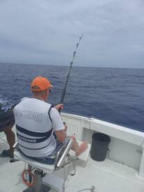 Le Morne Report Photo 2