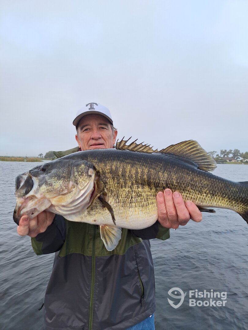 Orlando Report Photo 0