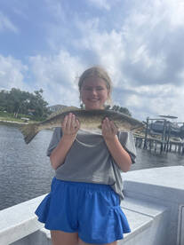 Orange Beach Report Photo 2