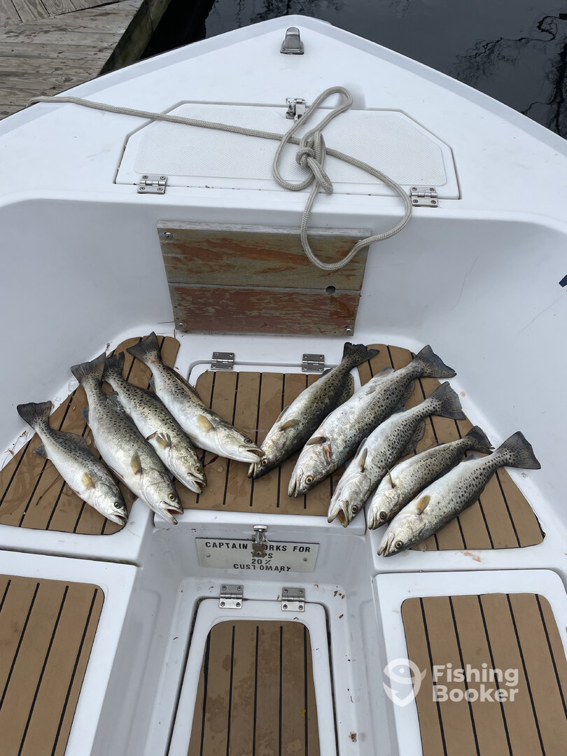 Wanchese Report Photo 0