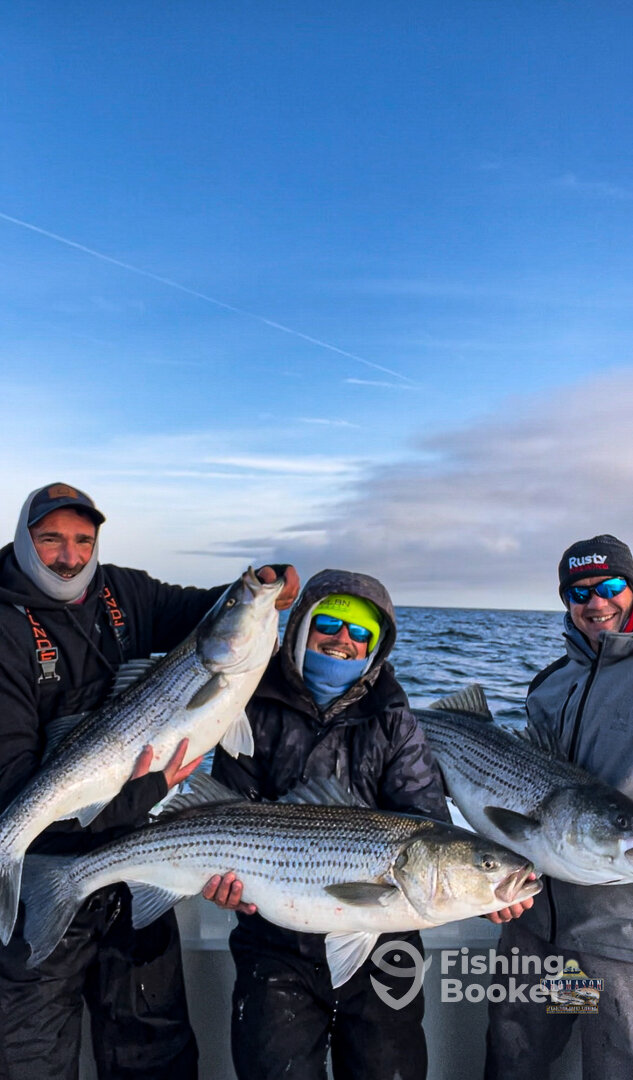 Solomons Report Photo 0