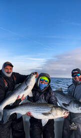 !!!MARCH MADNESS!!! Giant Striped Bass!!
