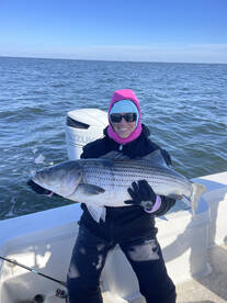 Solomons Report Photo 2