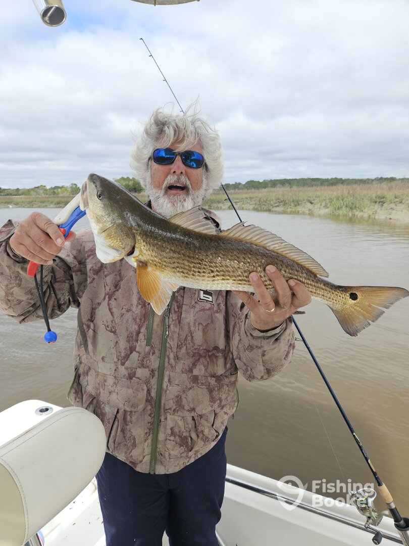 Mount Pleasant Report Photo 0