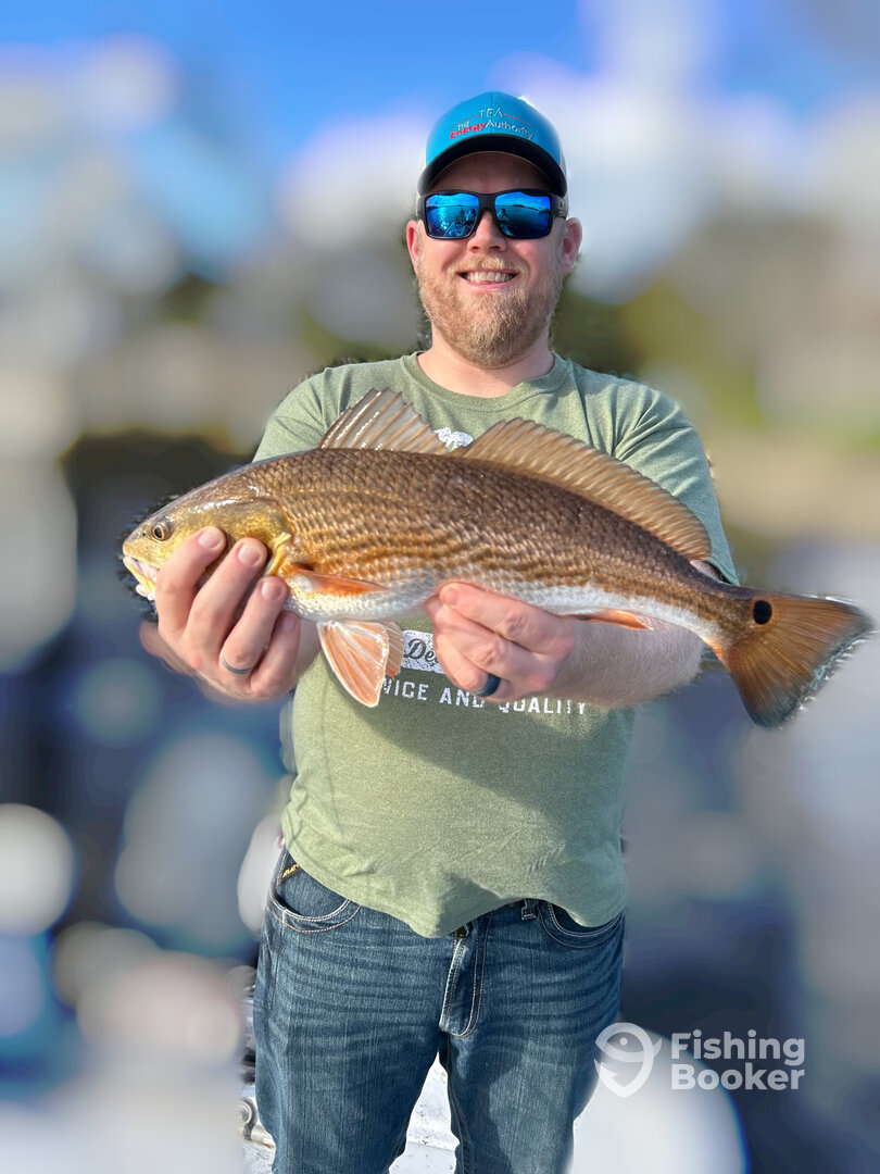 Jacksonville Report Photo 0