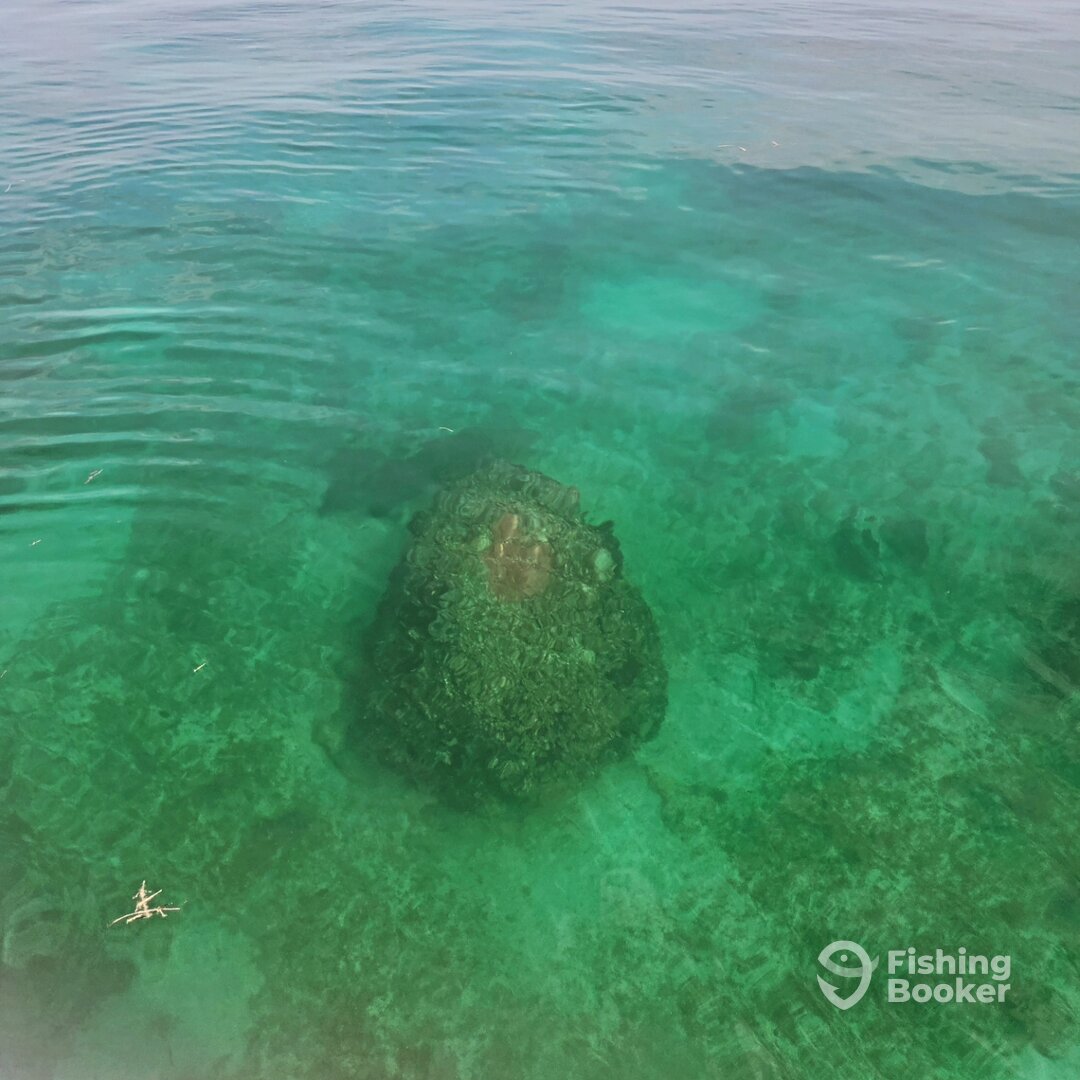 Summerland Key Report Photo 0