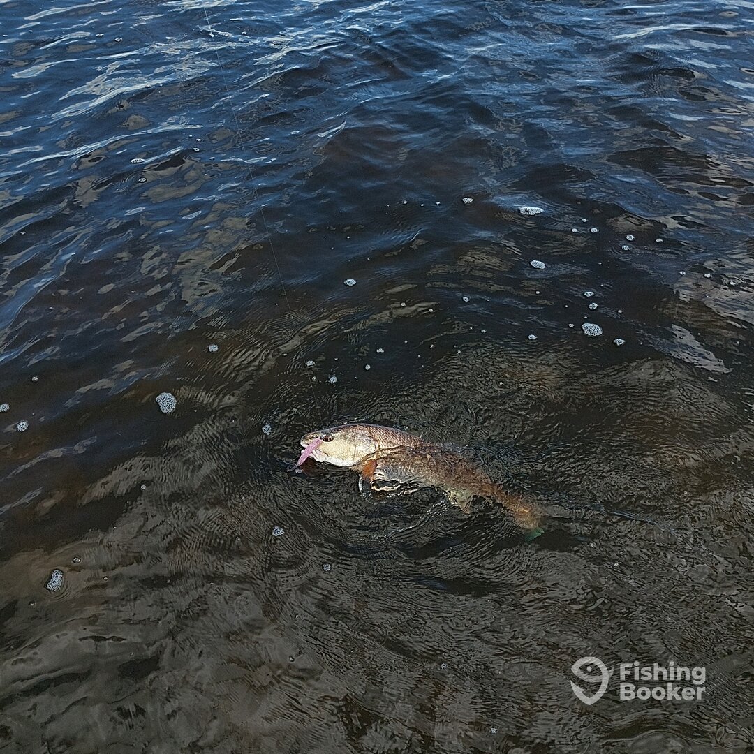 Panama City Report Photo 0