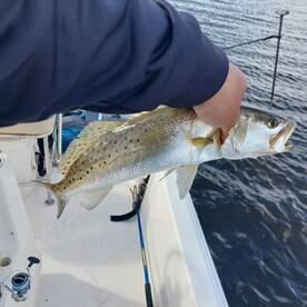 Panama City Report Photo 1