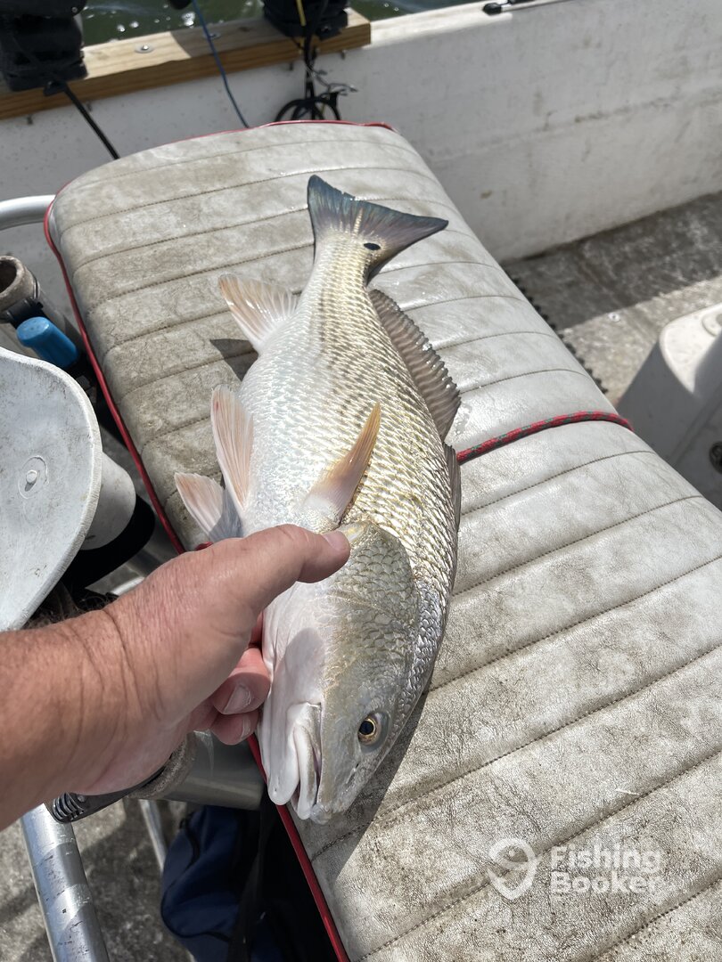 San Antonio Report Photo 0