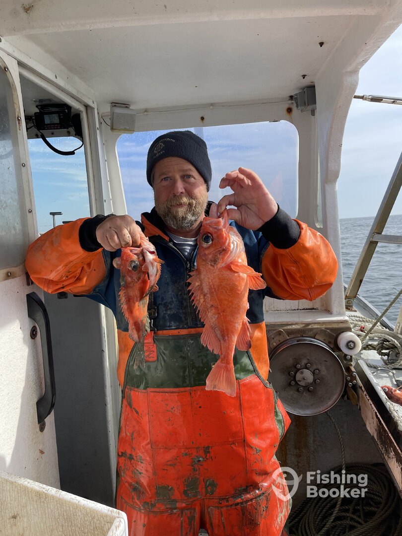 Gloucester Report Photo 0