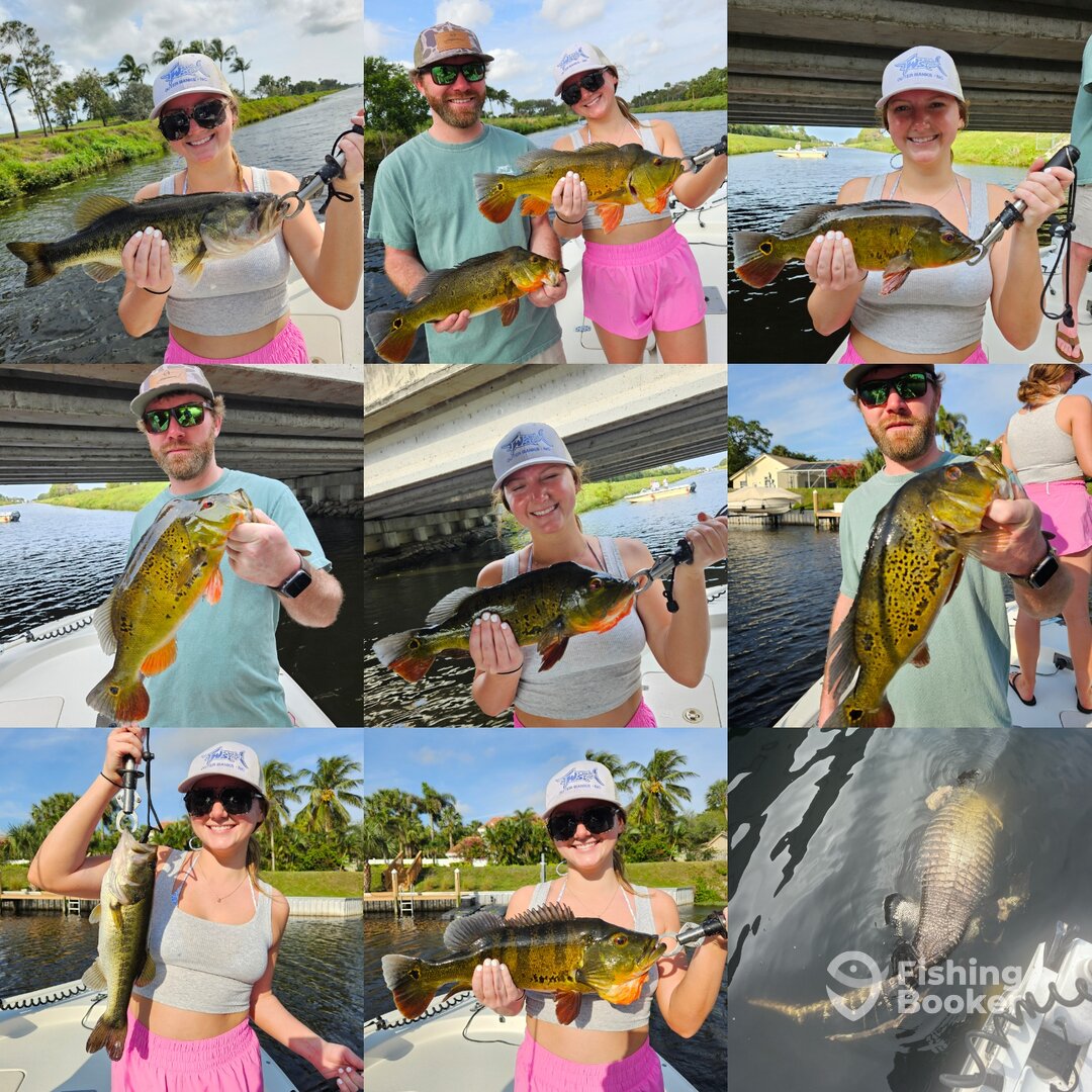 Delray Beach Report Photo 0