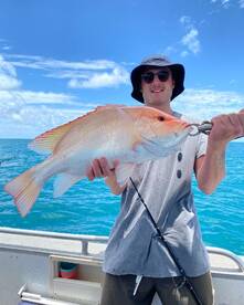 Cairns Report Photo 1