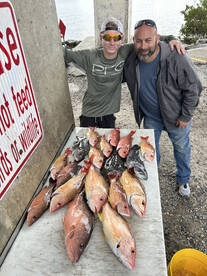 6hr offshore bottom fishing