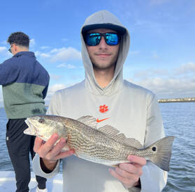 Mount Pleasant Report Photo 1