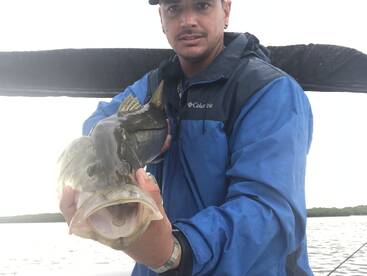 West Palm Beach Report Photo 2