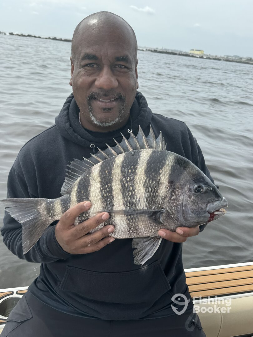 Jacksonville Report Photo 0