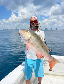 Fort Lauderdale Report Photo 2