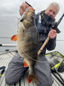 Almere Report Photo 2