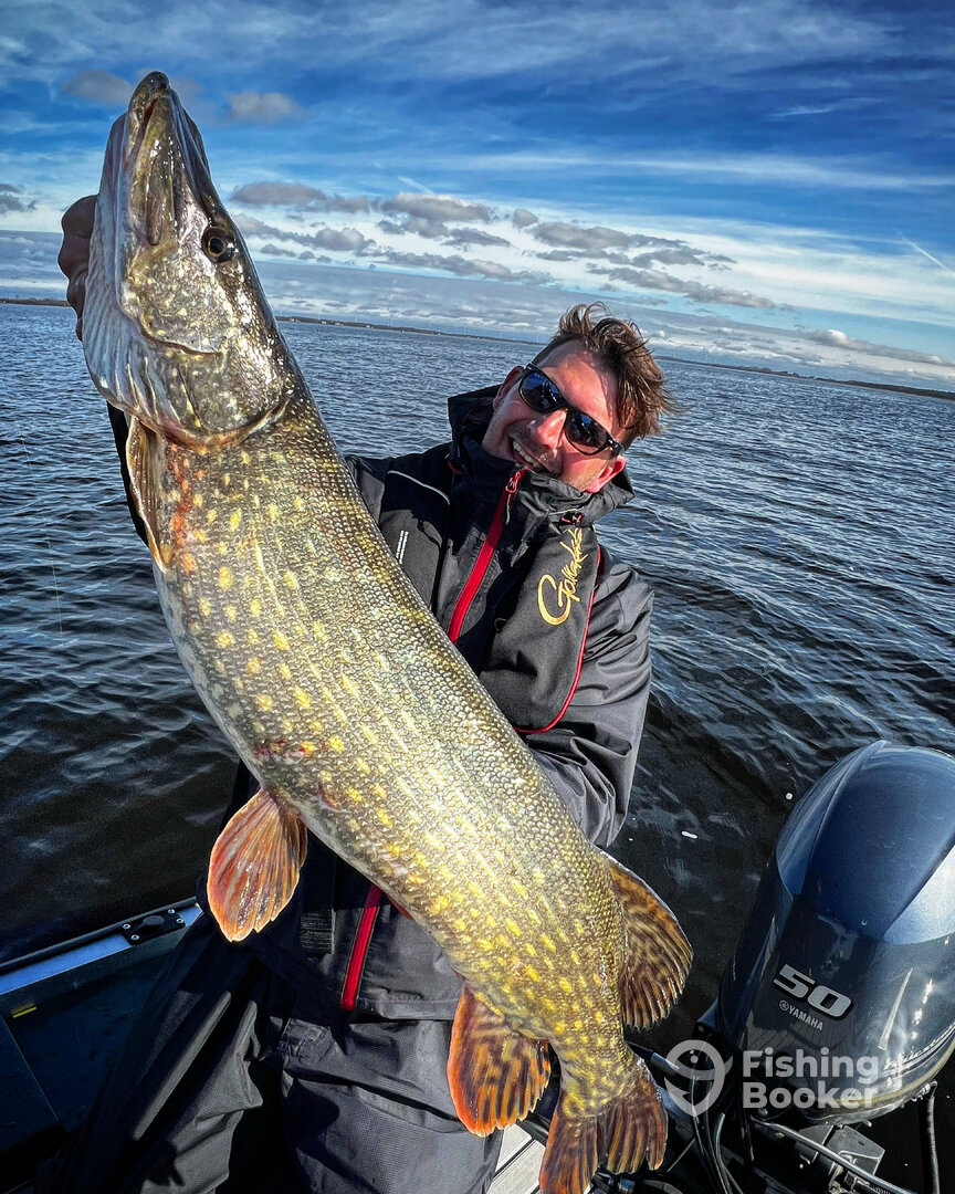 Almere Report Photo 0