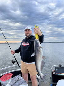 Montgomery Report Photo 1