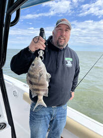 Sheepshead Time !!