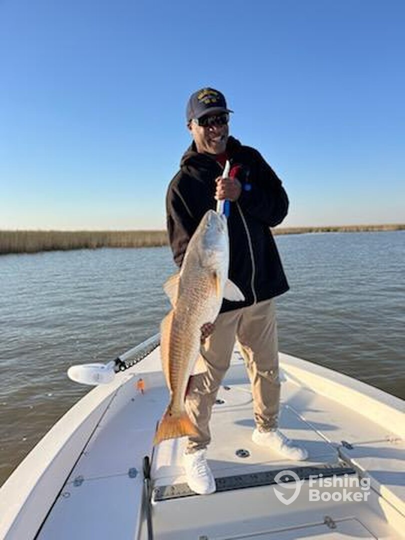 Venice Report Photo 0