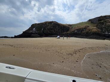 Panama City Report Photo 2