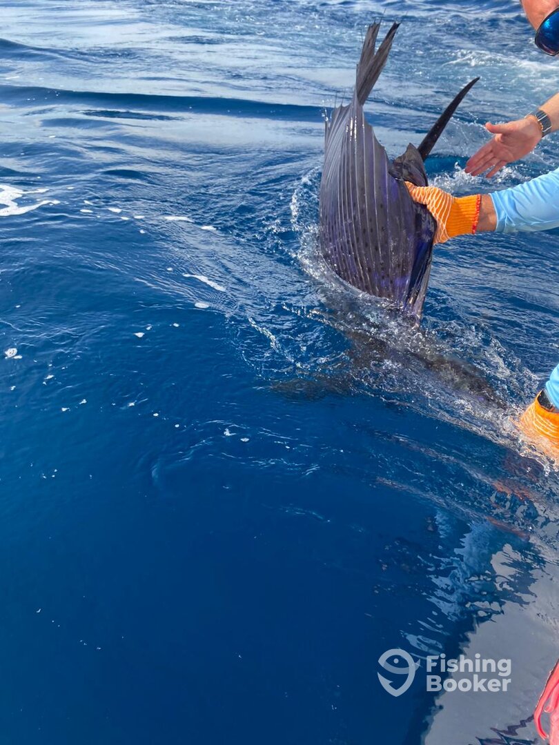 Quepos Report Photo 0