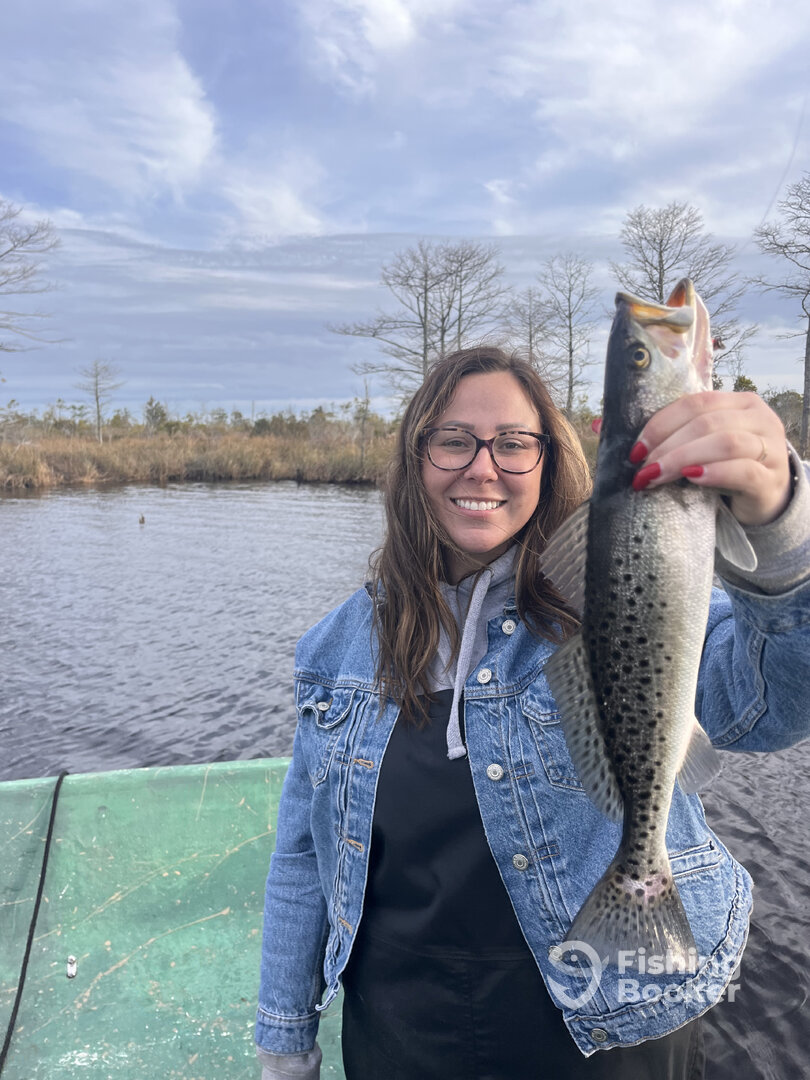 Manteo Report Photo 0