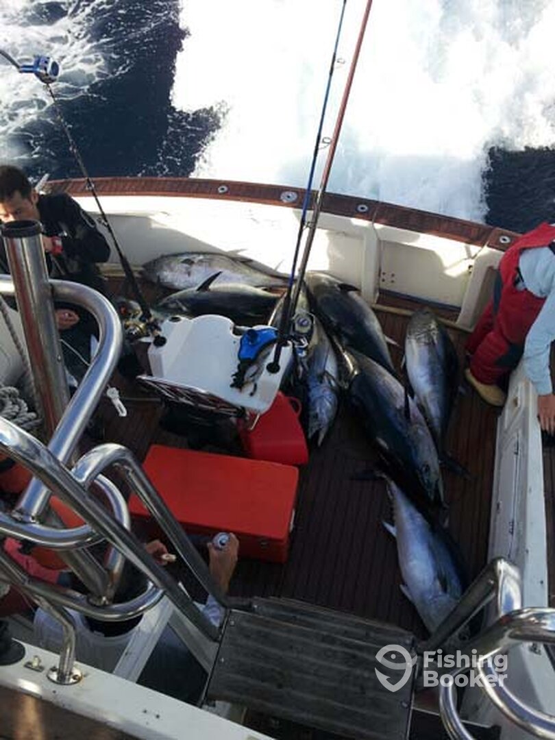 Sydney Report Photo 0