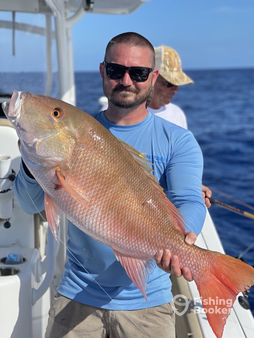 Mutton Snapper