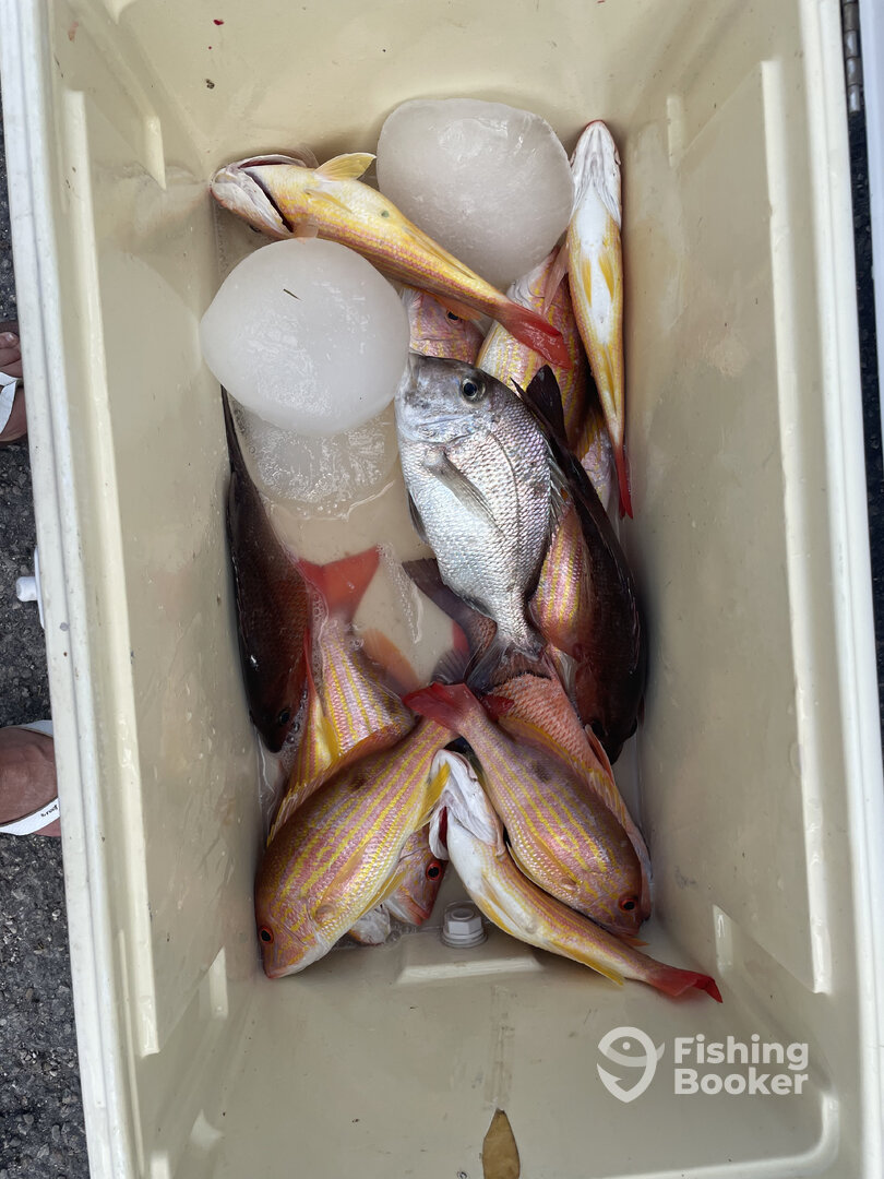 Haleiwa Report Photo 0