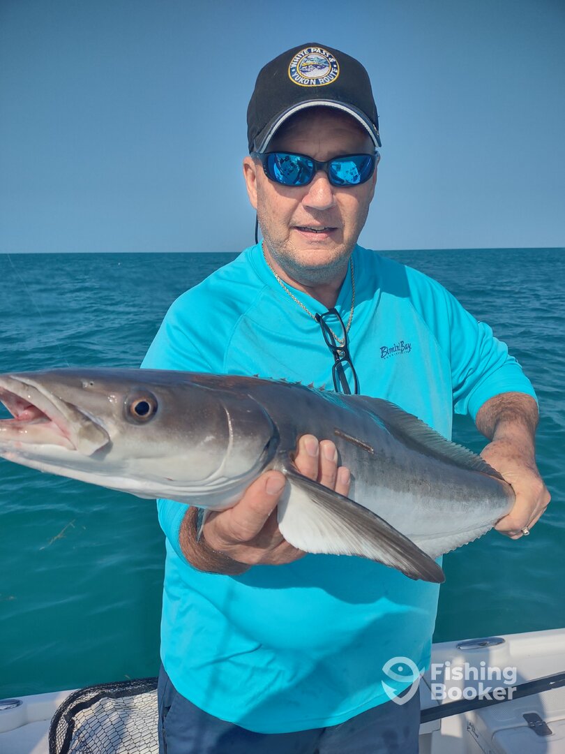 Yankeetown Report Photo 0