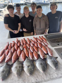 Pensacola Report Photo 2