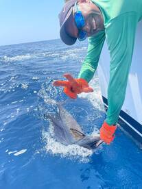 Fresh Tuna & Fighting Sailfish!