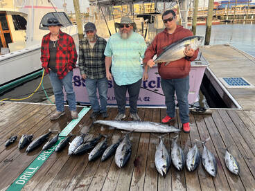 Spring gulfstream fishing